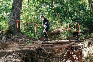 BIB: 
                            <button type="button" onclick="openModal(27718027)" class="btn btn-primary btn-sm float-right btn-popup" data-toggle="modal" data-target=".modal-high-quality">
                        <i class="fas fa-shopping-cart"></i> Add to Cart
                    </button>
                                            <button type="button" onclick="isThisMe(27718027, true)" class="btn btn-success btn-sm float-right btn-popup btn-isme hidden" data-toggle="tooltip" data-placement="bottom" title="นี่คือรูปของคุณใช่ไหม คลิกที่นี่เพื่อเอาเข้าอัลบั้ม">
                        <i class="fas fa-plus"></i> Add to album
                    </button>
                    <button type="button" onclick="isThisMe(27718027, false)" class="btn btn-warning btn-sm float-right btn-popup btn-isnotme hidden">
                        <i class="fas fa-ban"></i> Remove from album
                    </button>